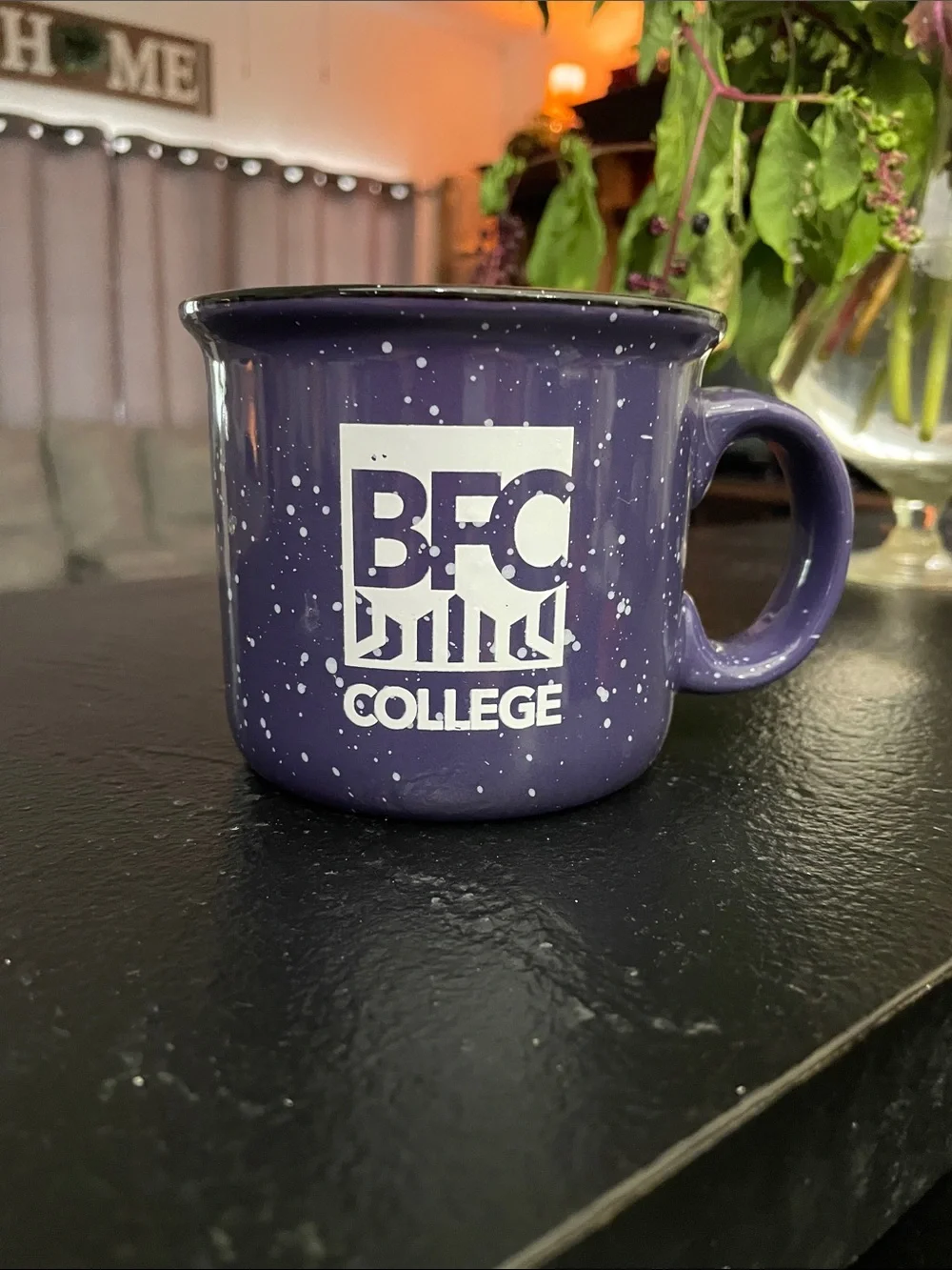 Purple Speckled Camp Mug BFC College